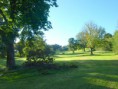/album/my-local-birding-gallery/thornhll-rectory-park-this-morning-jpg/